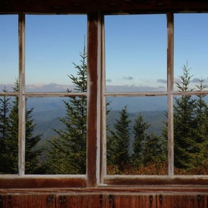 Wall mural window, self adhesive, View thru Fir Trees- window view-2 sizes available-perfect gift
