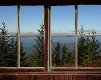 Wall mural window, self adhesive, View thru Fir Trees- window view-2 sizes available-perfect gift