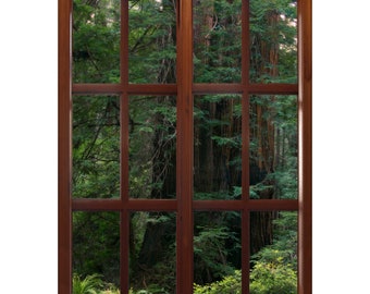 Wall mural window, self adhesive, forest window view-vertical-California Redwoods- Muir Woods 4