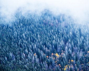 Photo Art by Anna Miller- Estes Park- Colorado