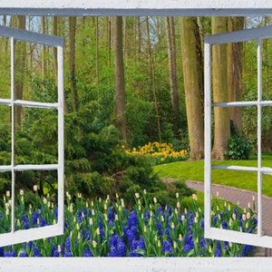May include: A white window with a view of a lush green forest with a path leading to a bed of blue hyacinths and yellow tulips.
