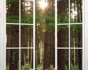 Indiana Pine Forest View Wall Mural, Faux Window Decal