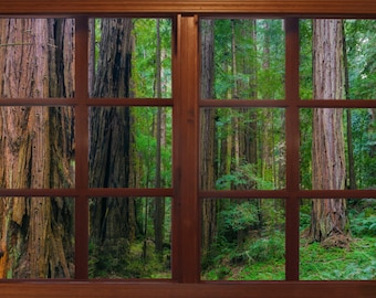 Wall mural window, self adhesive, forest window view- Muir Woods - Redwood Trunks-perfect gift