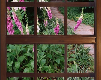 Garden Path Window View Wall Mural, Self Adhesive Photo Decal (24x36)