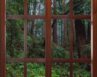 Wall mural window, self adhesive, forest window view-vertical-California Redwoods- Muir Woods