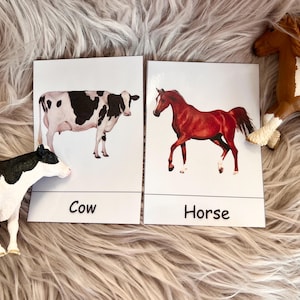 English Farm Animal flashcard Montessori realistic picture animal flash card for toddler learning Animal Nomenclature cards for homeschool