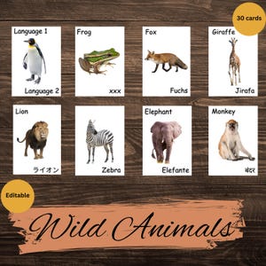 Editable Wild Animal Flashcard Montessori Nomenclature Card Real Photos for Kids Animal Flash card Woldorf Safari Animals for toddler