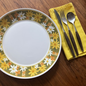 Vintage Mikasa Cera-Stone Fresca Dinner Plate