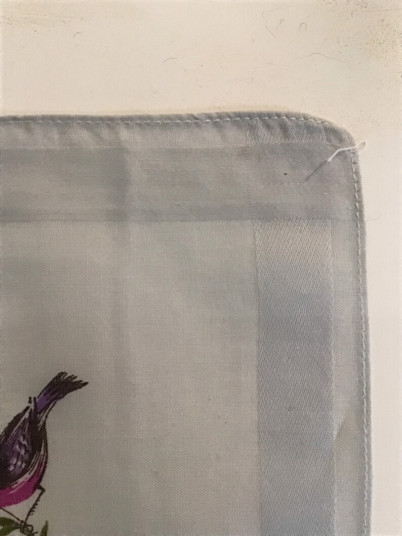 Pu&ograve; includere: Un fazzoletto di colore azzurro chiaro con un bordo bianco e un piccolo disegno di uccello nell'angolo in basso a sinistra.