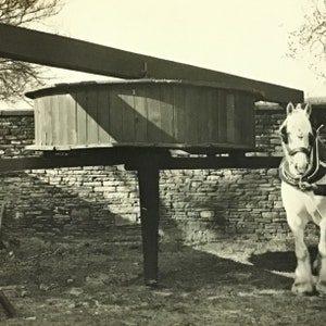 Vintage Halifax ansichtkaart met kolenmijnen Horse Gin