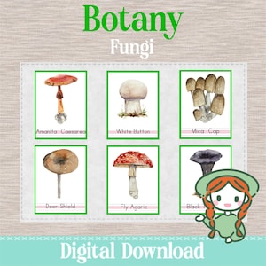 Types of MUSHROOMS - 3 Part Nomenclature Cards - Montessori Botany Science