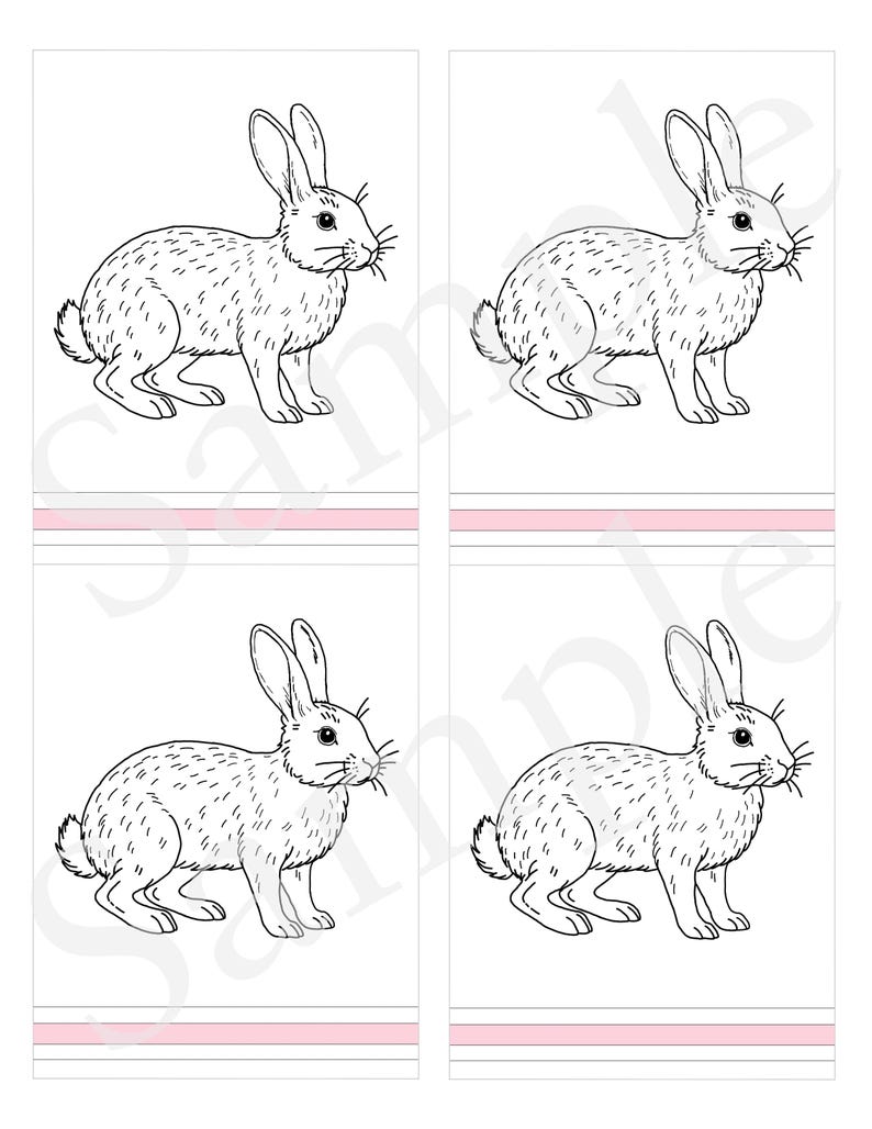 Three Part Cards Rabbit Parts of the RABBIT - 3 Part Nomenclature Cards - Montessori Zoology ...