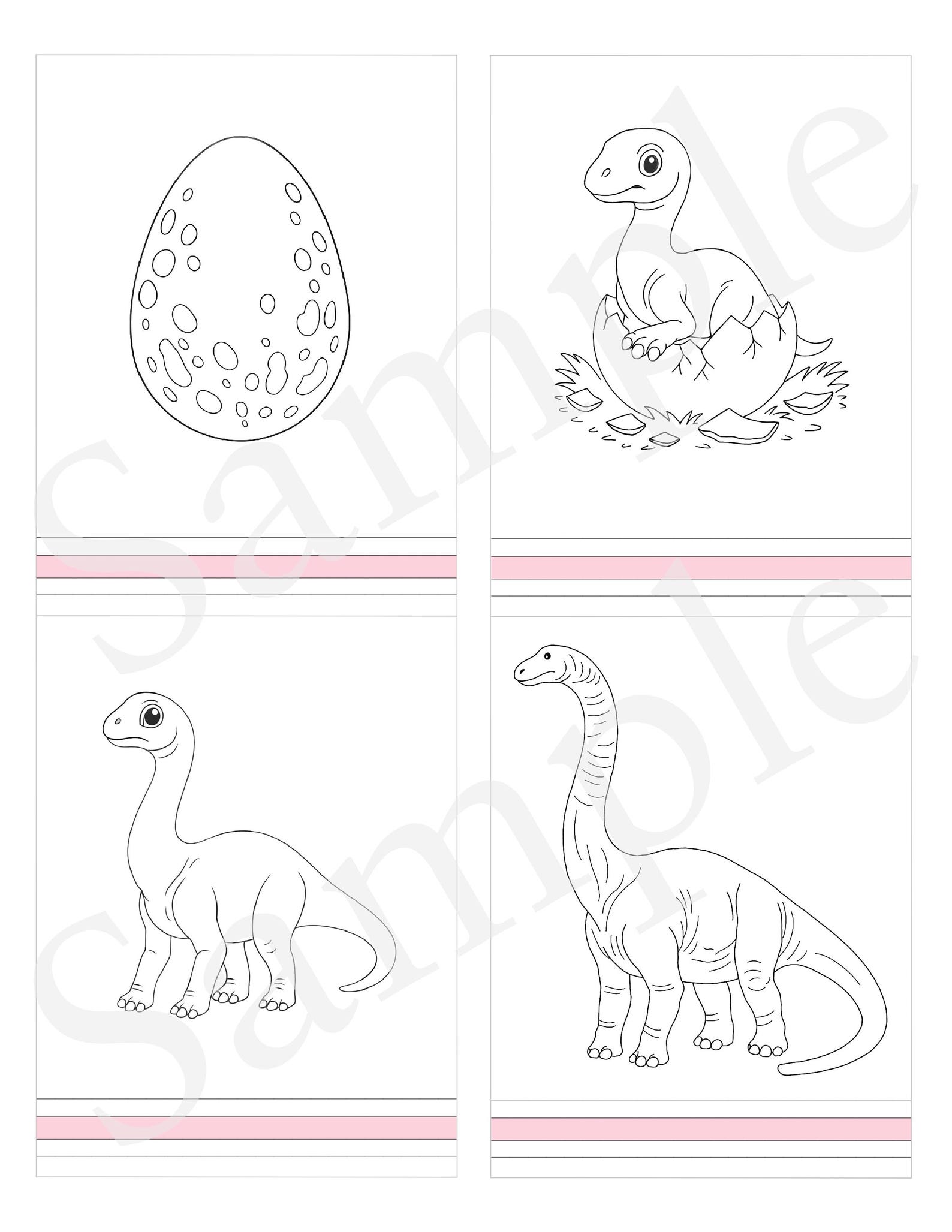 DINOSAUR Life Cycle of the Brontosaurus - 3 Part Nomenclature Cards ...