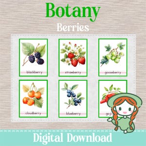 Types of BERRIES - 3 Part Nomenclature Cards - Montessori Botany Science