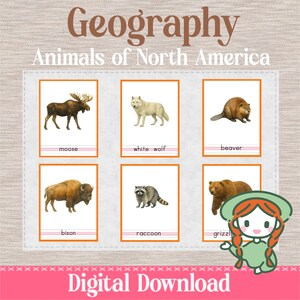 ANIMALS of NORTH AMERICA - 3 Part Nomenclature Cards - Montessori Geography