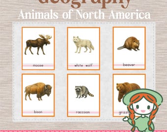 Animals of North America 3-part Cards - Etsy