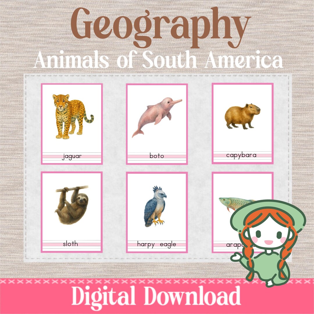 ANIMALS of SOUTH AMERICA - 3 Part Nomenclature Cards - Montessori ...