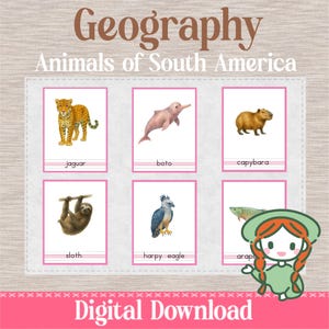ANIMALS of SOUTH AMERICA - 3 Part Nomenclature Cards - Montessori Geography