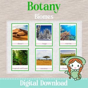 Può includere: Un download digitale con sei biomi illustrati: deserto, taiga, marino, foresta pluviale tropicale, savana e fresco. Il titolo "Botany Biomes" è in verde, con "Digital Download" in basso. Una ragazza dei cartoni animati è a destra.