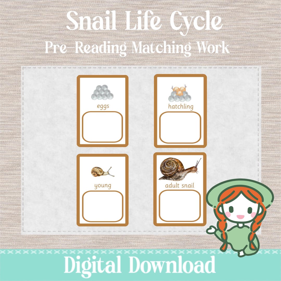 SNAIL Life Cycle Montessori Pre Reading Language Matching Cards - Etsy