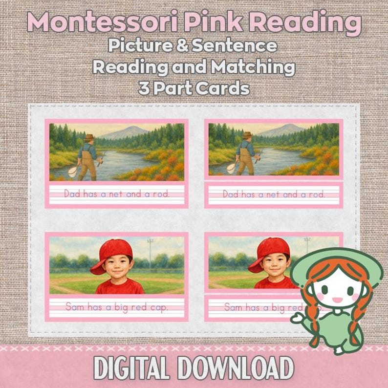 PINK READING CVC Montessori Picture Sentence Matching 3 Part Cards ...