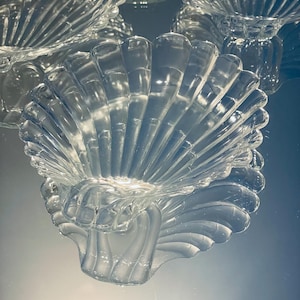 May include: Clear glass bowls shaped like seashells. The bowls feature a detailed, fan-like design with a textured surface. The image shows several bowls, with reflections in the background, creating a layered effect. These bowls are suitable for serving snacks or as decorative items.