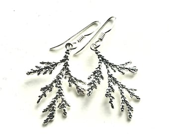 Cedar Branch Drop Earrings: Sterling Silver Botanical Jewelry