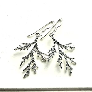 Cedar branch earrings, botanical earrings, leaf drop earrings, festive earrings, forest earring, woodland drops, sterling silver ear wires