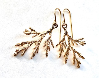 Gold Plated Cedar Branch Drop Earrings: BotanicalBead