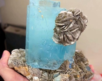 May include: A large, light blue aquamarine crystal formation with a cluster of tan-colored rosette formations. The aquamarine is a rectangular shape, and the rosette formations are on a tan-colored matrix.