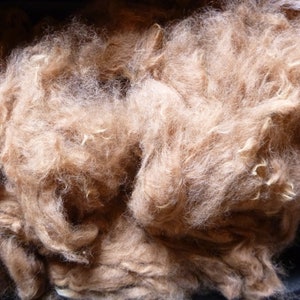 May include: A close-up of a pile of light brown alpaca fiber. The fiber is soft and fluffy, and it is perfect for spinning or felting.