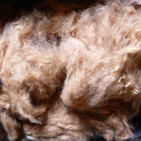 Washed Alpaca Fiber by the pound