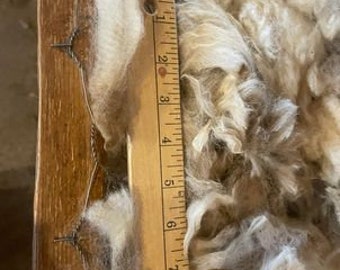 Blackface (Suffolk) wool