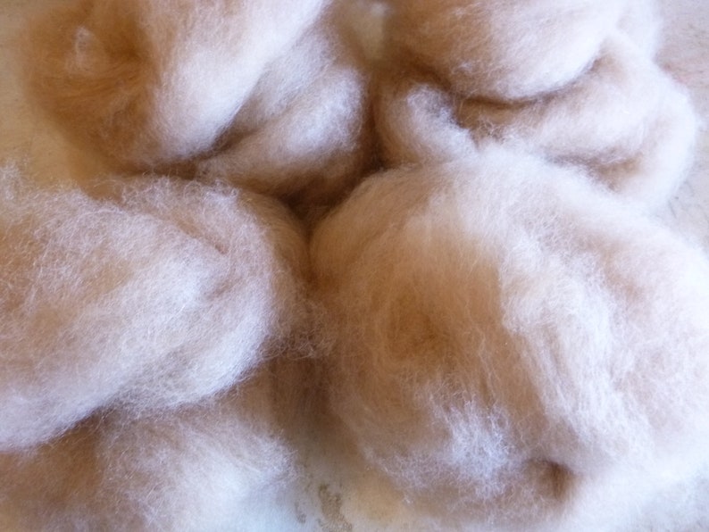 Alpaca roving by the 12 pound Handpulled from batts