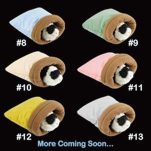 May include: A collection of small pet beds in various colors, including blue, green, beige, pink, yellow, and white. Each bed has a brown rim and contains a guinea pig. The text "More Coming Soon..." is at the bottom.