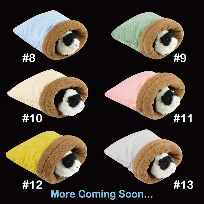 May include: A collection of small pet beds in various colors, including blue, green, beige, pink, yellow, and white. Each bed has a brown rim and contains a guinea pig. The text "More Coming Soon..." is at the bottom.