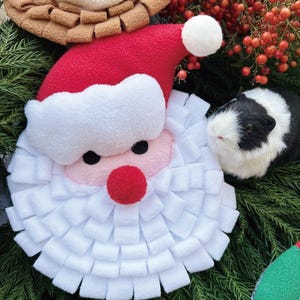 Könnte beinhalten: Eine festliche Weihnachtsdekoration mit einem Plüsch-Weihnachtsmann-Gesicht mit rotem Hut, weißem Bart und roter Nase. Ein schwarz-weißes Meerschweinchen befindet sich neben dem Gesicht des Weihnachtsmanns, umgeben von Grün und roten Beeren.