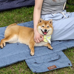 Puede incluir: Un perro Shiba Inu con pelaje marrón y un pañuelo amarillo sonríe mientras descansa sobre una cama azul para perros. La cama para perros tiene un asa y el nombre de la marca "Robbin" impreso. Una persona acaricia al perro.
