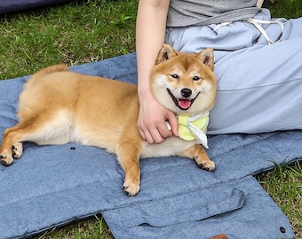 Cama de viaje para perros al aire libre: colchoneta enrollable portátil, impermeable y lavable. Regalo personalizado con manta para cachorros.