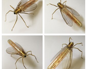 Awl Fly Sculpture - Oddities and Curiosities - Handmade Unusual OOAK Original Unique Steampunk Steam Punk Clockwork Insect Art