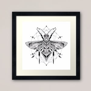 Hoverfly line art - retro geometric zentangle beetle insect Illustration nature print/poster