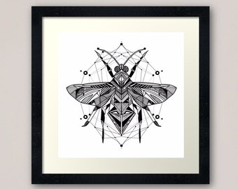 Hoverfly line art - retro geometric zentangle beetle insect Illustration nature print/poster
