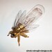 Reviewed by Inactive reviewed Steampunk brooch - Large Fly Lightbulb Brooch - Unique Steampunk Steam Punk Clockwork Jewelry