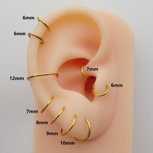 G23 titanium oorringen • 20G/18G/16G neusring • Helixoorbellen • Scharnierend segment • Septumclicker • Kraakbeenklikker• Kleine scharnierring