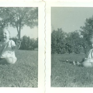 Happy Baby Discovering Grass Summer 2 1950s Photos Black White Photographs