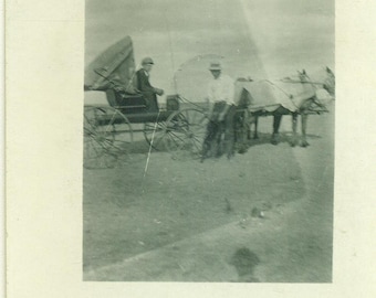 Horse and Buggy Men Driving Cart 1910s Antique RPPC Real Photo Postcard Photograph Black White Photo