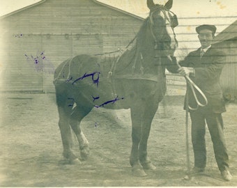 1911 Peoria IL Proud Man WIth Horse Outlaw Driving Mare Mailed RPPC Real Photo Postcard Photograph Black White Photo