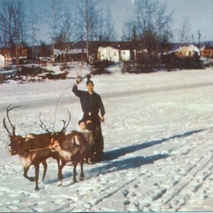 Anni '50 Fairbanks Alaska Reindeer Team Sled Driver sul fiume Chena Cartolina a colori spedita