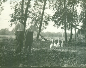 1914 Man Feeding Geese Holding Tin Can Out Antique RPPC Real Photo Postcard Azo