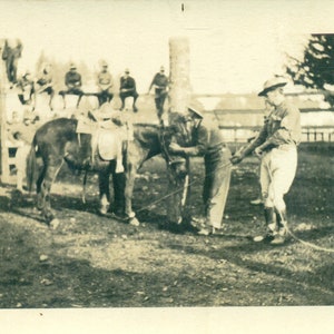 Opieka nad koniem roboczym Kowboje siedzący na francuskiej pocztówce RPPC z lat 30. XX wieku